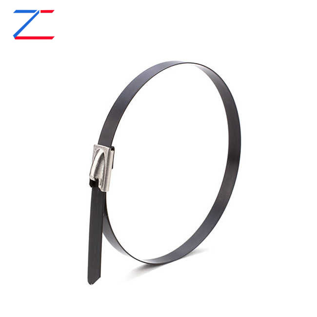 ¿Por qué elegir bridas para cables de acero inoxidable revestidas?